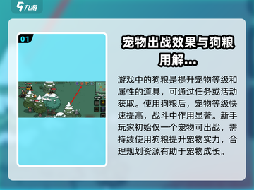 《英勇之地》狗粮大揭秘！🔥玩家必看㊙截图2