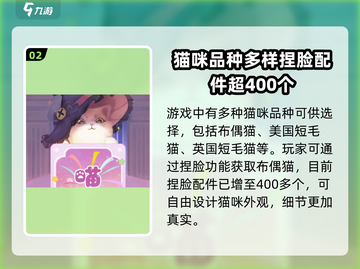 超喵星计划💥：轻松拥有布偶猫，秘籍在这里！🐱截图3