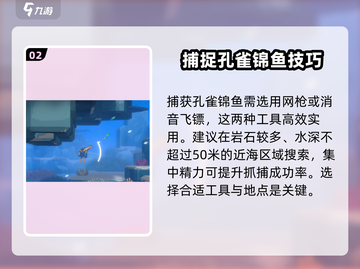 潜水员戴夫📖孔雀锦鱼📍寻找攻略来啦！截图3
