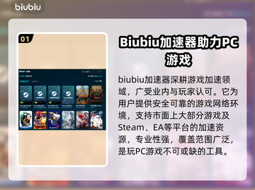 PC端游戏加速器推荐，玩转全球游戏⚡🎮截图2