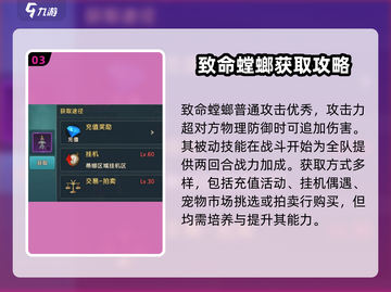 魔力宝贝复兴🔥首充螳螂必选攻略💎截图4