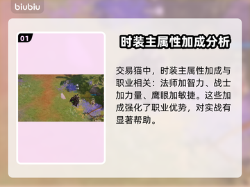 命运方舟时装属性大揭秘🔥游戏玩家必看！截图2
