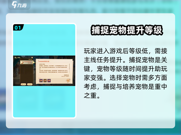 西普大陆手游🔥任务攻略详解，快速上手秘籍！截图2