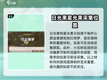 无限暖暖✨：新手必看采集技巧大公开！截图4