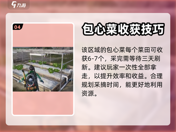 《七日世界》包心菜获取攻略💎轻松搞定！截图5