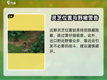 大侠立志传🔥迷踪林灵芝位置全揭秘！截图5