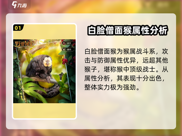 野兽领主新世界🔥白脸僧面猴强度分析Monkey✨截图2