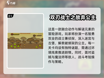 🔥勇士救公主经典游戏推荐2024✨截图2