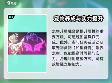 魔力宝贝复兴版🔥宠物实力飙升秘籍来了！💥截图4