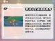 原神⚡希诺宁培养攻略，快速养成秘籍！🔥截图5