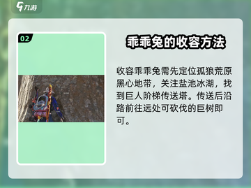 七日世界💡乖乖兔收容攻略，轻松捕捉💯截图3