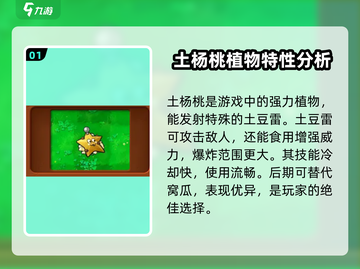 植物大战僵尸杂交版🔥最强植物排名&amp;推荐！游戏技巧大公开💡截图2