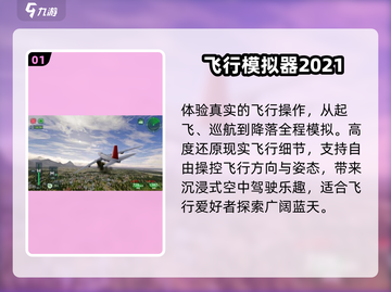 ✈2025飞机必备单机游戏TOP榜截图2