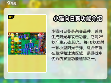 植物大战僵尸：小猫向日葵🔥助你轻松获胜！游戏技巧大公开☀截图2