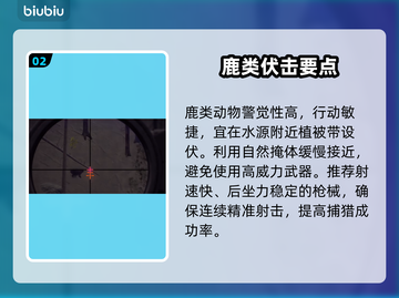 🔥《猎人之路》狩猎神级点位曝光💥截图3