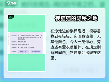 以闪亮之名夜猫猫刷新时间💥游戏党必看！✨截图4