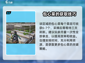 七日世界🔥包心菜获取秘籍，玩家必看！截图5