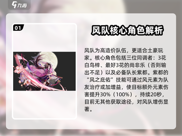 白荆回廊🔥风队阵容搭配推荐！核心角色全揭秘🎮截图2
