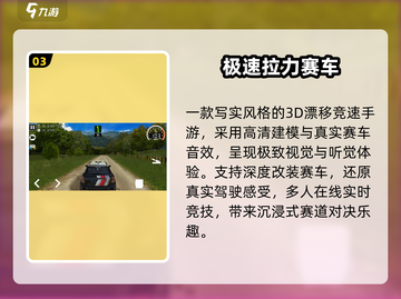 🔥2025最燃拉力赛车手游💥截图4