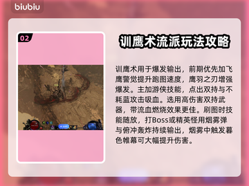 最后纪元训鹰🔥训鹰者流派玩法分享🎉截图3
