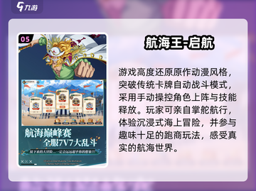 🔥2025最火航海王游戏TOP5💥截图6