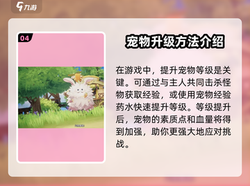 仙境传说RO武僧宠物选择🌟爱如初见必看！截图5