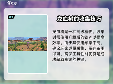 沙石镇时光🔥龙血树获取攻略💎新手必看！截图4