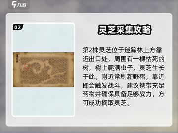 🎮大侠立志传迷踪林灵芝位置曝光！截图3