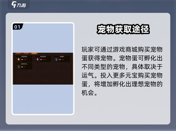 五霸七雄🔥宠物进化攻略✨宠物获取与升级详解来啦！截图2
