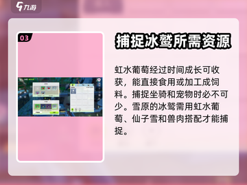 创造吧我们的星球✨葡萄获取秘籍，速来！截图4