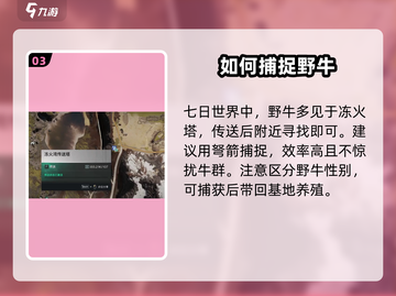 七日世界🎉野牛抓取全攻略，用途大揭秘！截图4