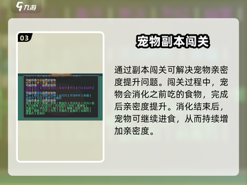 《元气骑士前传宠物亲密度飙升秘诀！🐾🔥》截图4