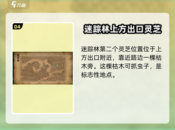 大侠立志传🔥灵芝获取位置全攻略✨截图5