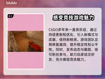 CSGO掉帧？这款加速器让你畅爽游戏🔥🎮截图2