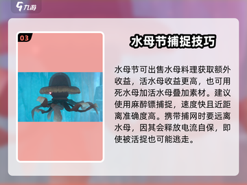 潜水员戴夫水母节🔥超全攻略来了！🎮截图4