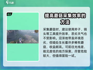 《七日世界》🔥蘑菇采集终极指南📍截图3