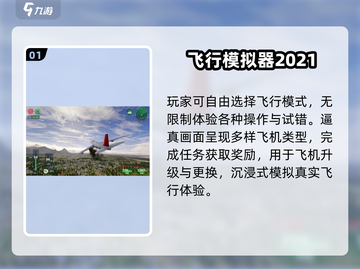 ✈2025最耐玩飞行游戏TOP榜🔥截图2