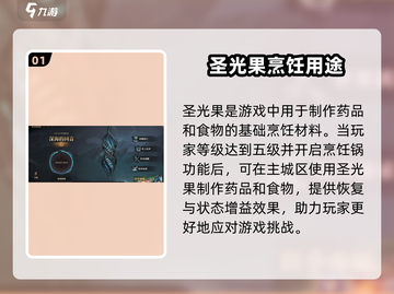 原神：龙息神寂圣光果作用大揭秘🔥截图2