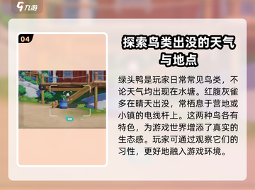 心动小镇🔥必看！鸟类分布位置全揭秘🦜截图5