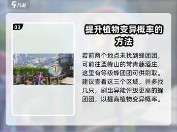 《七日世界》蜂团团获取攻略🔥蜂迷必看！截图4