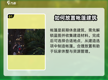 七日世界🔥帐篷放置技巧大全，生存必备！截图2
