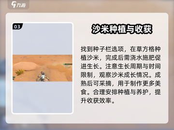 《沙石镇时光》✨沙米种子隐藏位置大揭秘！📌截图4