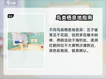 心动小镇🔥海鸥拍照任务全流程攻略💡截图3
