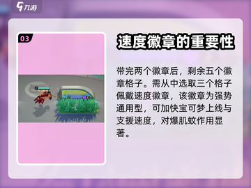 宝可梦大集结🔥爆肌蚊最强装备推荐💥截图4