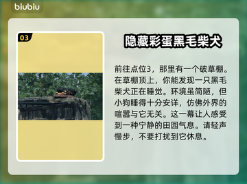 浪人崛起🔥拍摄家犬任务怎么完成？💡截图4