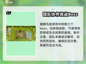万龙觉醒🔥雷鹏鸟打法通关秘籍🎉截图2