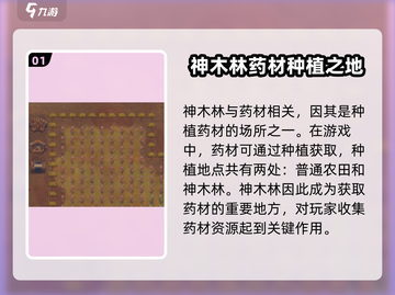 了不起的修仙模拟器🔥神木林秘境解析，修仙党必看！截图2