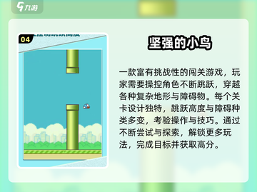 💥2025超火飞机小鸟游戏免费下载！🎮截图5