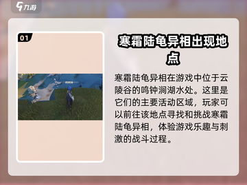 鸣潮🔥寒霜陆龟异相位置大曝光！快来看看在哪✨截图2