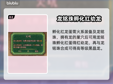 背包乱斗养龙流🔥玩法揭秘，轻松制胜💡截图3